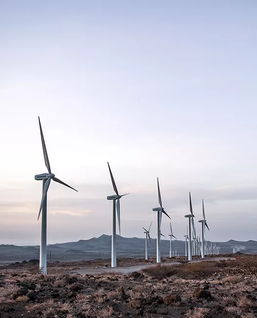 a photo of a row of Vestas wind turbines